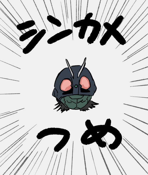 シンカメ詰め