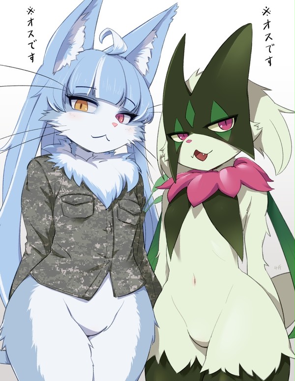 オスネコ