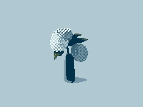 紫陽花