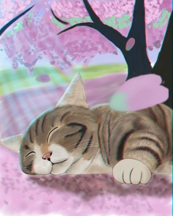 桜と猫