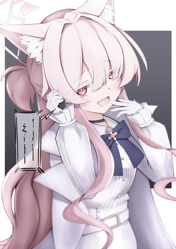 慈愛の怪盗さん