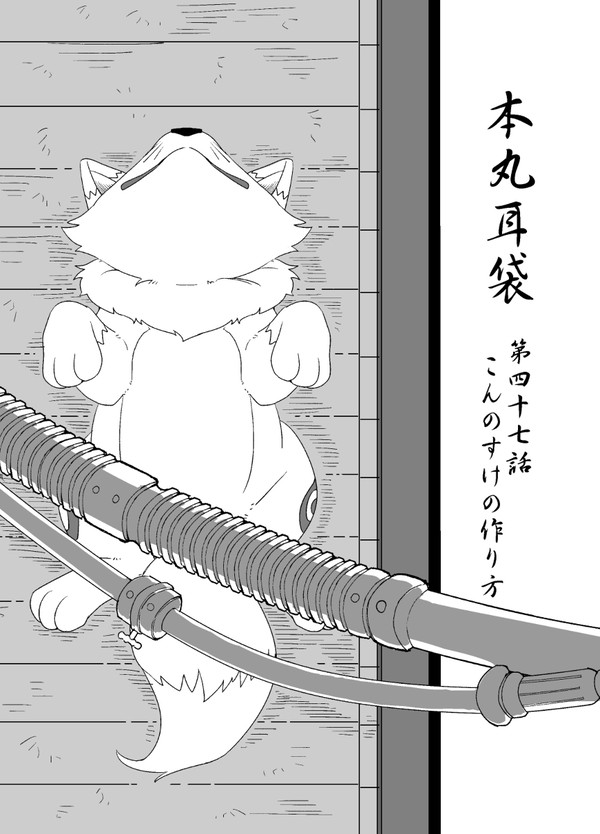 本丸耳袋 47