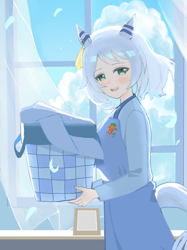 新妻のヒシミラクル