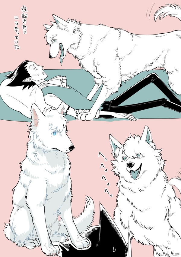 犬ルド君