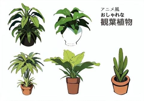 観葉植物のイラストセット