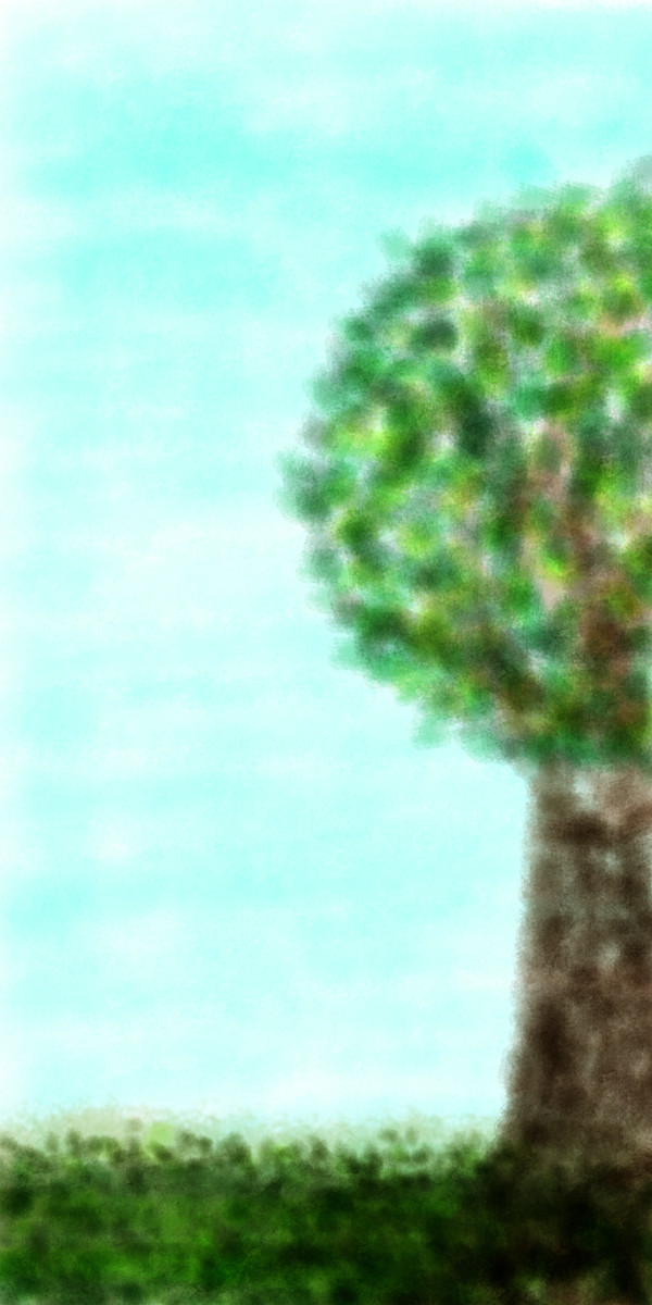 木