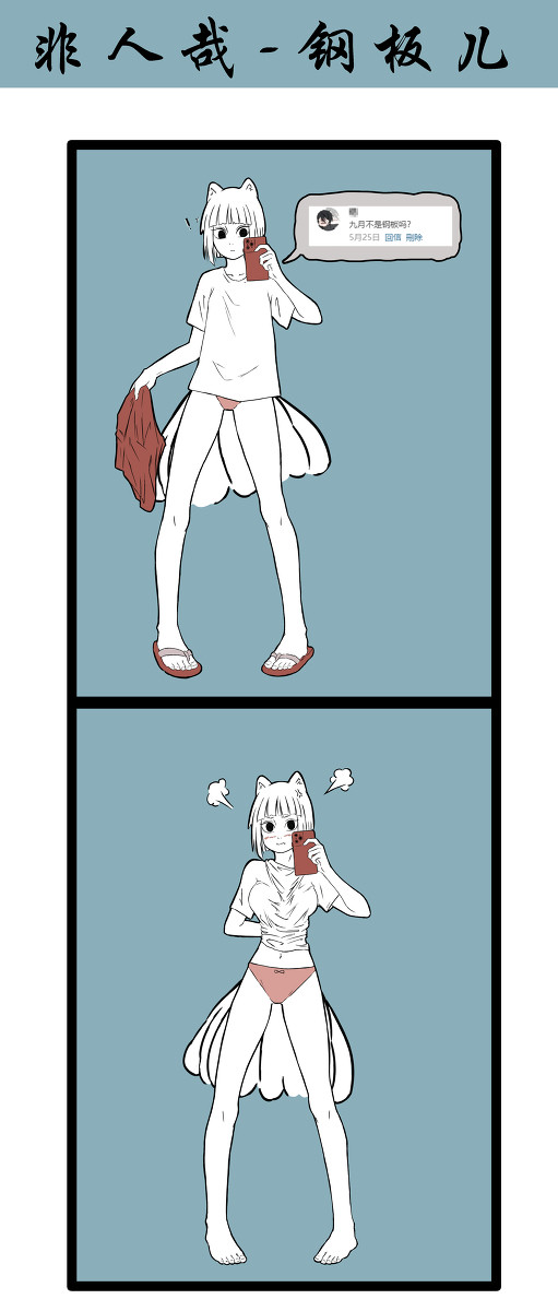 板夹鸡(非H)