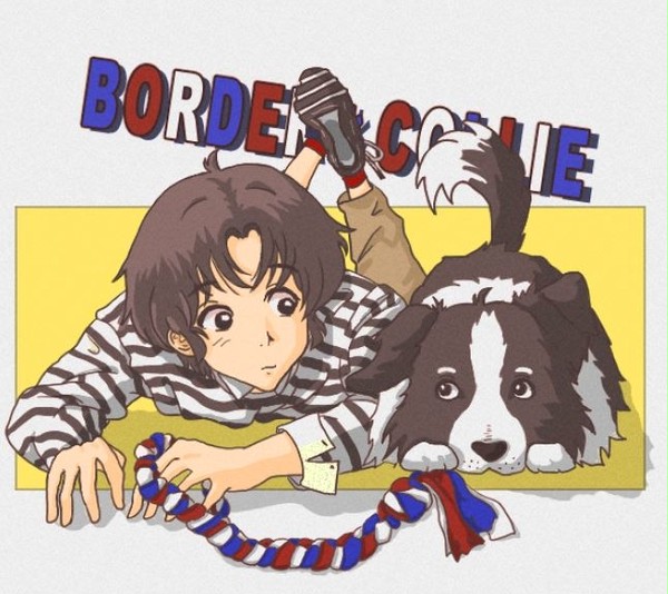 ボーダーコリーとボーダーコリーくん