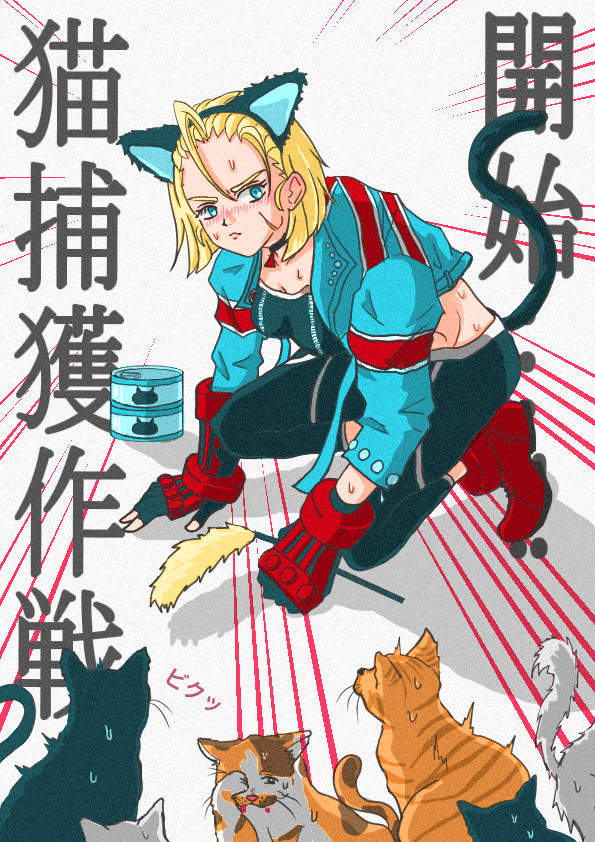 猫捕獲作戦、開始！