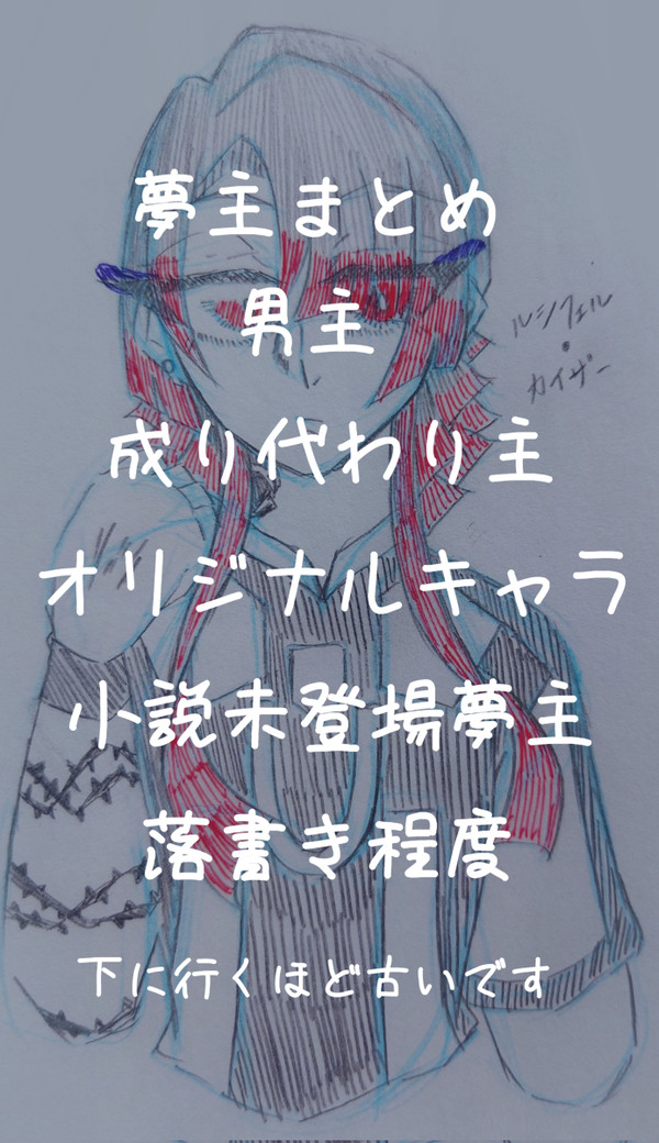 夢主まとめ