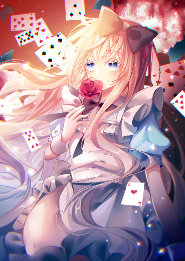 To the red rose.