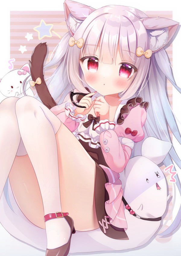 立場が上の猫ちゃん🎀