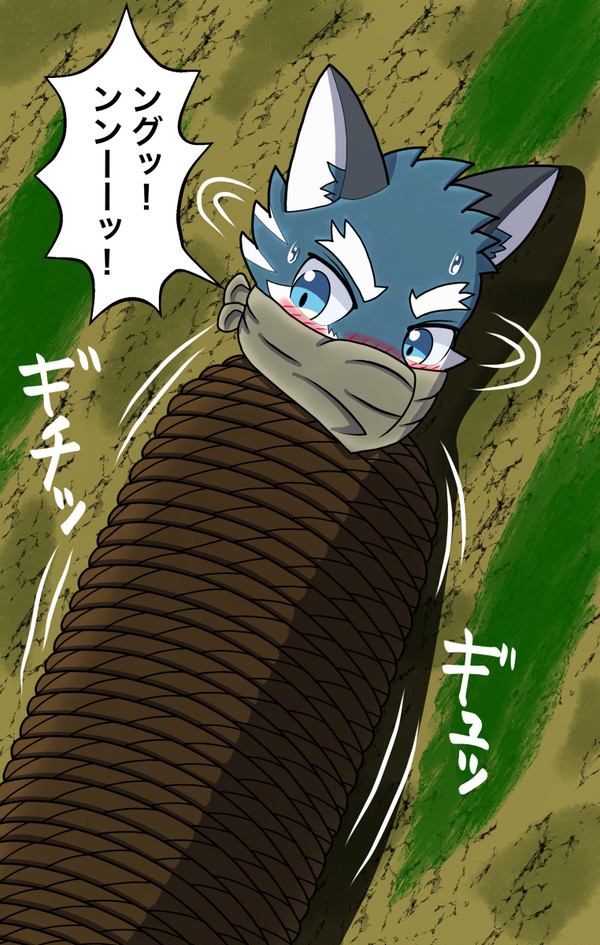 アルゴ捕獲