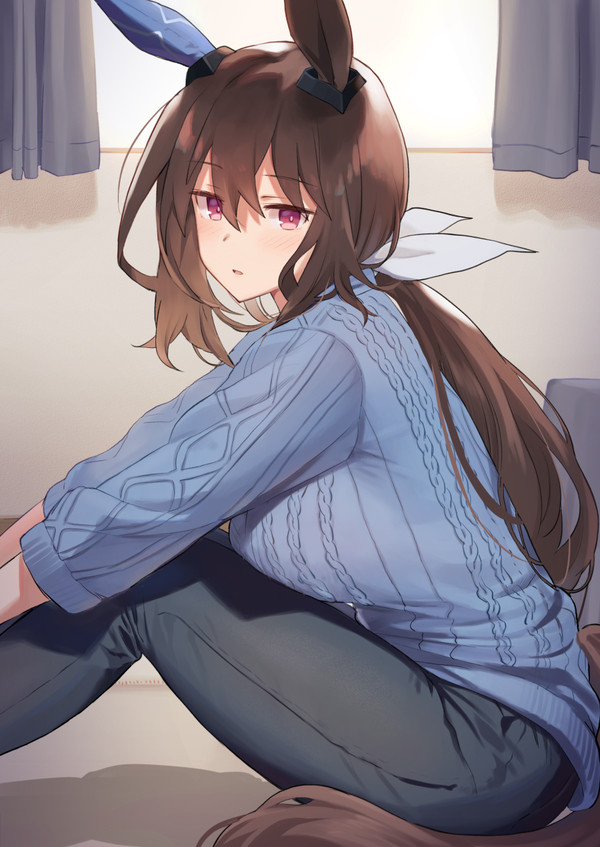 アドマイヤベガ - 1/2