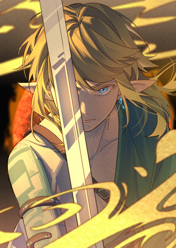 💫Royal Guard of Hyrule💫