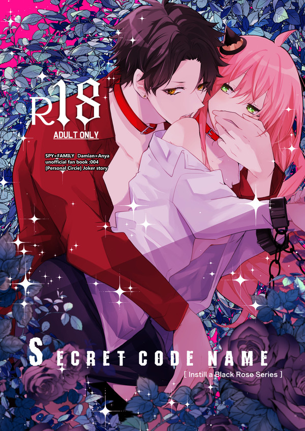 SECRET CODE NAME