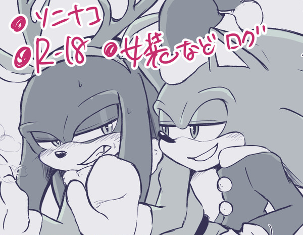 R18【Sonic】ソニナコなどまとめ