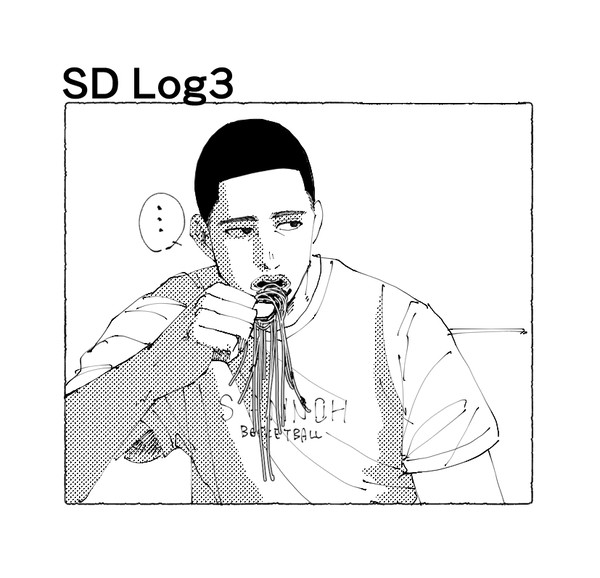 SD log3