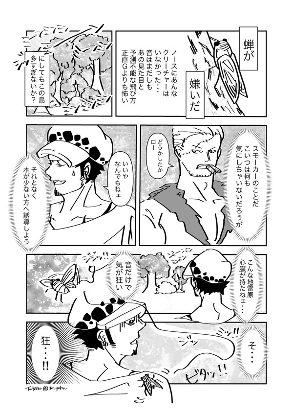 ｽﾓﾛ / 蝉