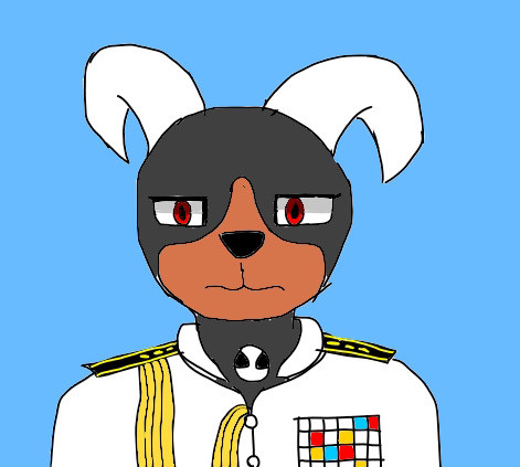 ヘルガー提督