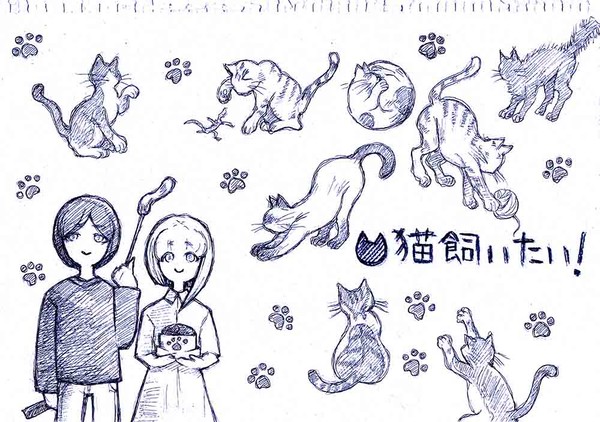 猫飼いたい！