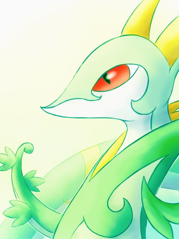 今まで描いた ポケモン版深夜の真剣お絵描き60分一本勝負 まとめ