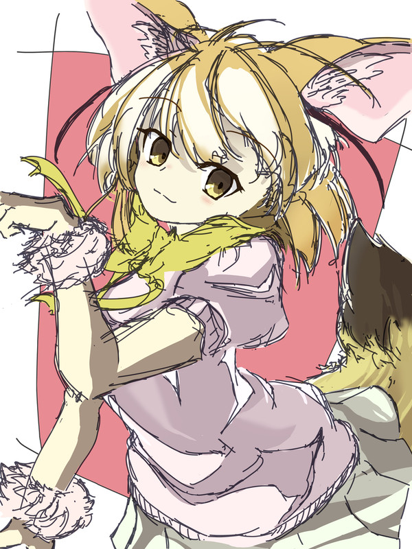 ふぇねっくカラーラフ