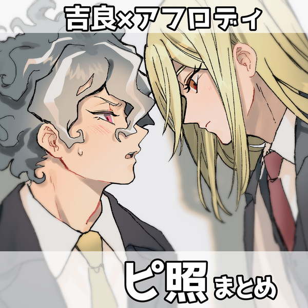 ピ照まとめ9