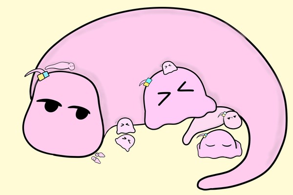 メンダコツチノコ詰め