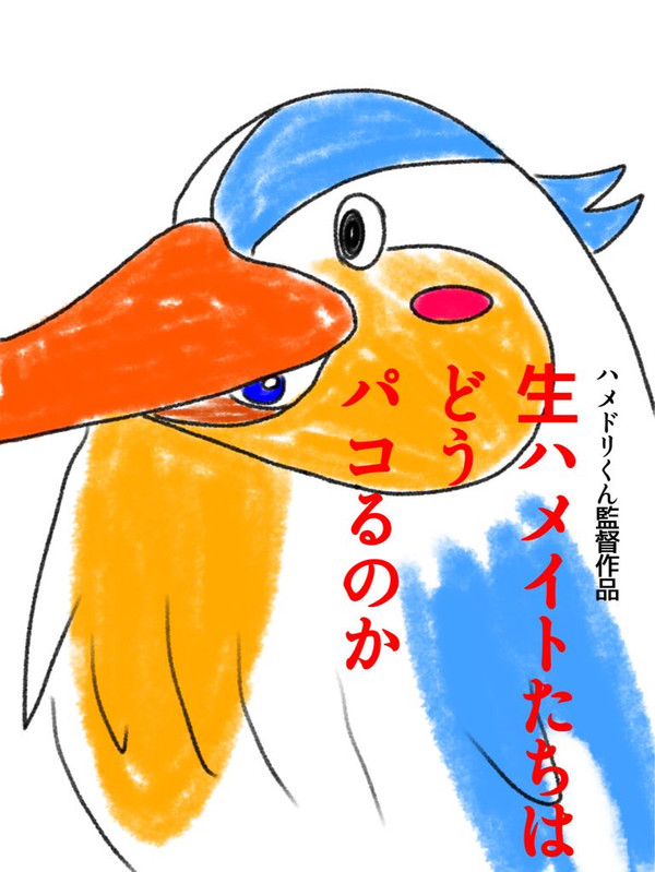 生ハメイトたちはどうぱこるのか