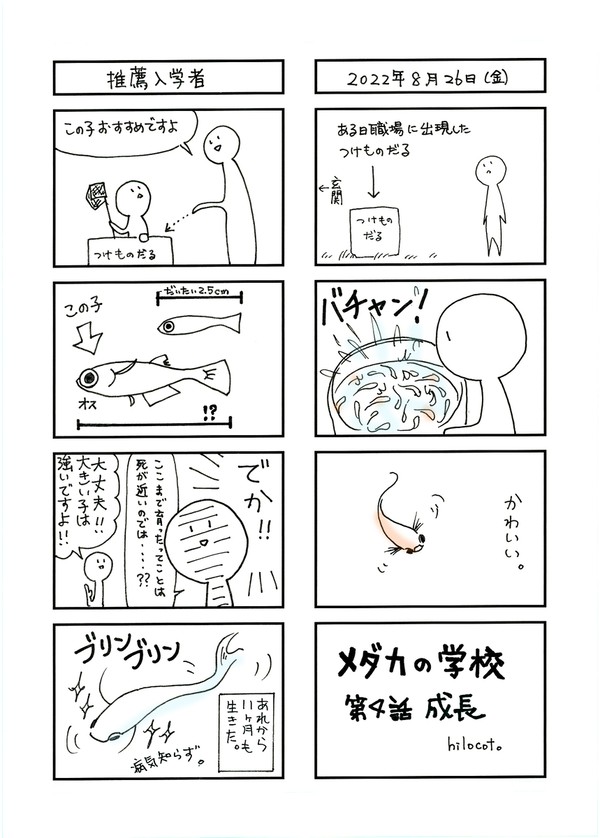 メダカの学校第四話「成長」