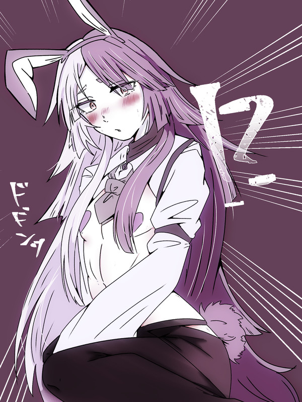 ↪︎🐰