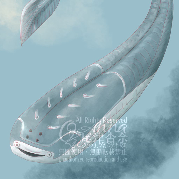 🦕サカバンバスピス