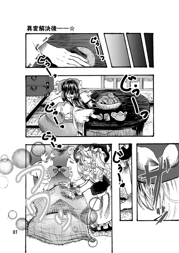 「異変解決後の本音」(レイマリ)