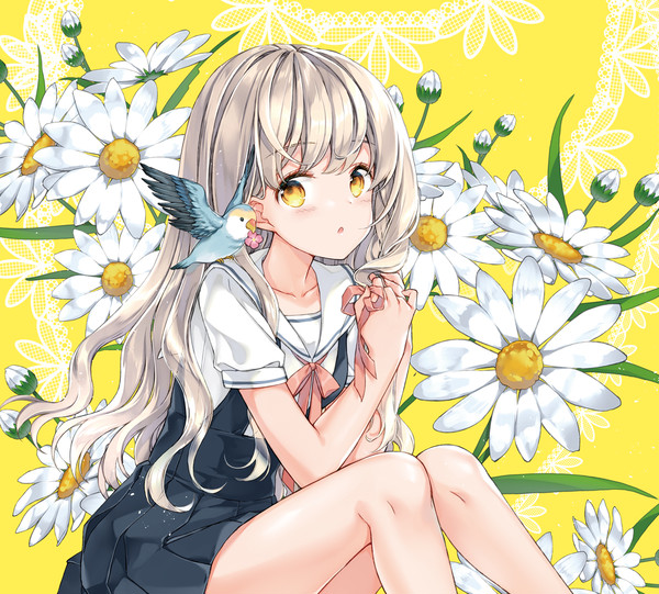 小鳥 - 1/1