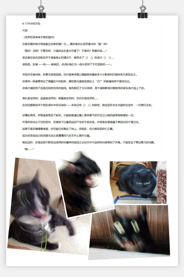 模因污染·猫