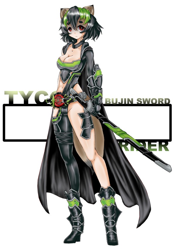 仮面ライダー タイクーン ブジンソード