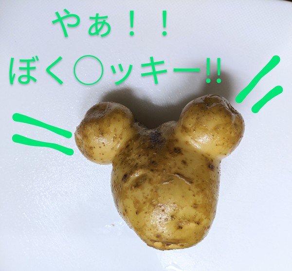 畑の国から
