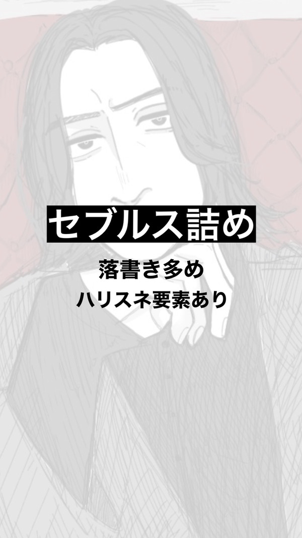 セブルス詰め2
