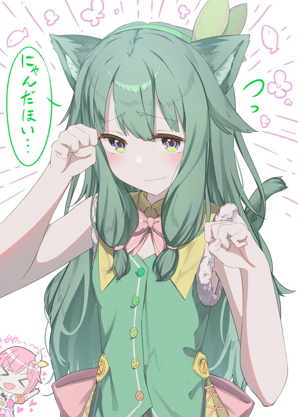 ネコのわんだほい
