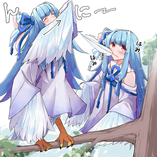 ハーピー葵ちゃん