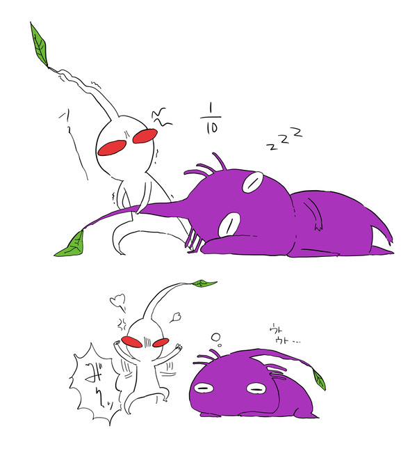 白と紫