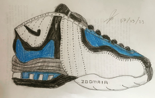 Nike Zoom Air