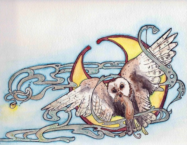 Owl