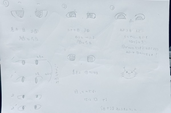 顔の目のイメージ