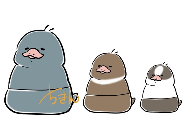 ニフラーシカ