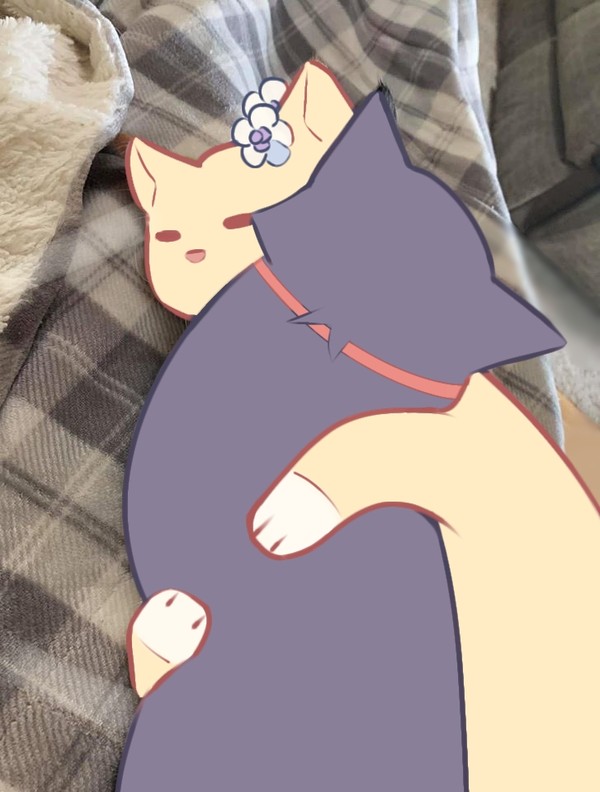 1.cat