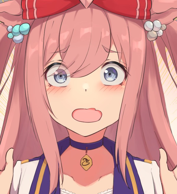 アグネスデジタル