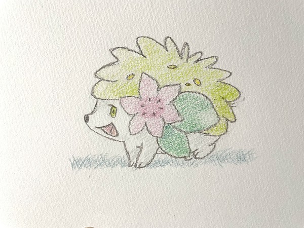 シェイミ